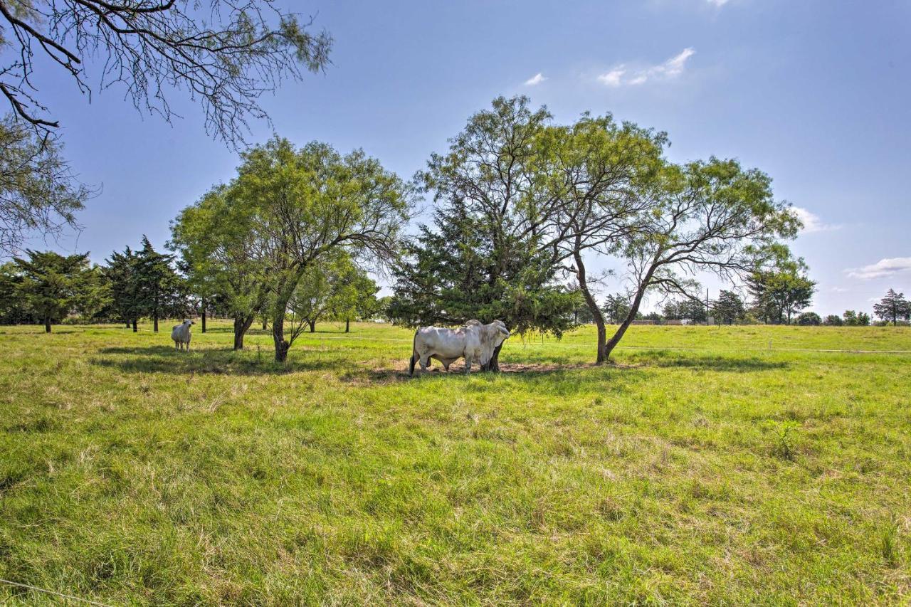 Texas Cabin On 130 Acres Walk To Lake Ray Roberts Collinsville Eksteriør billede